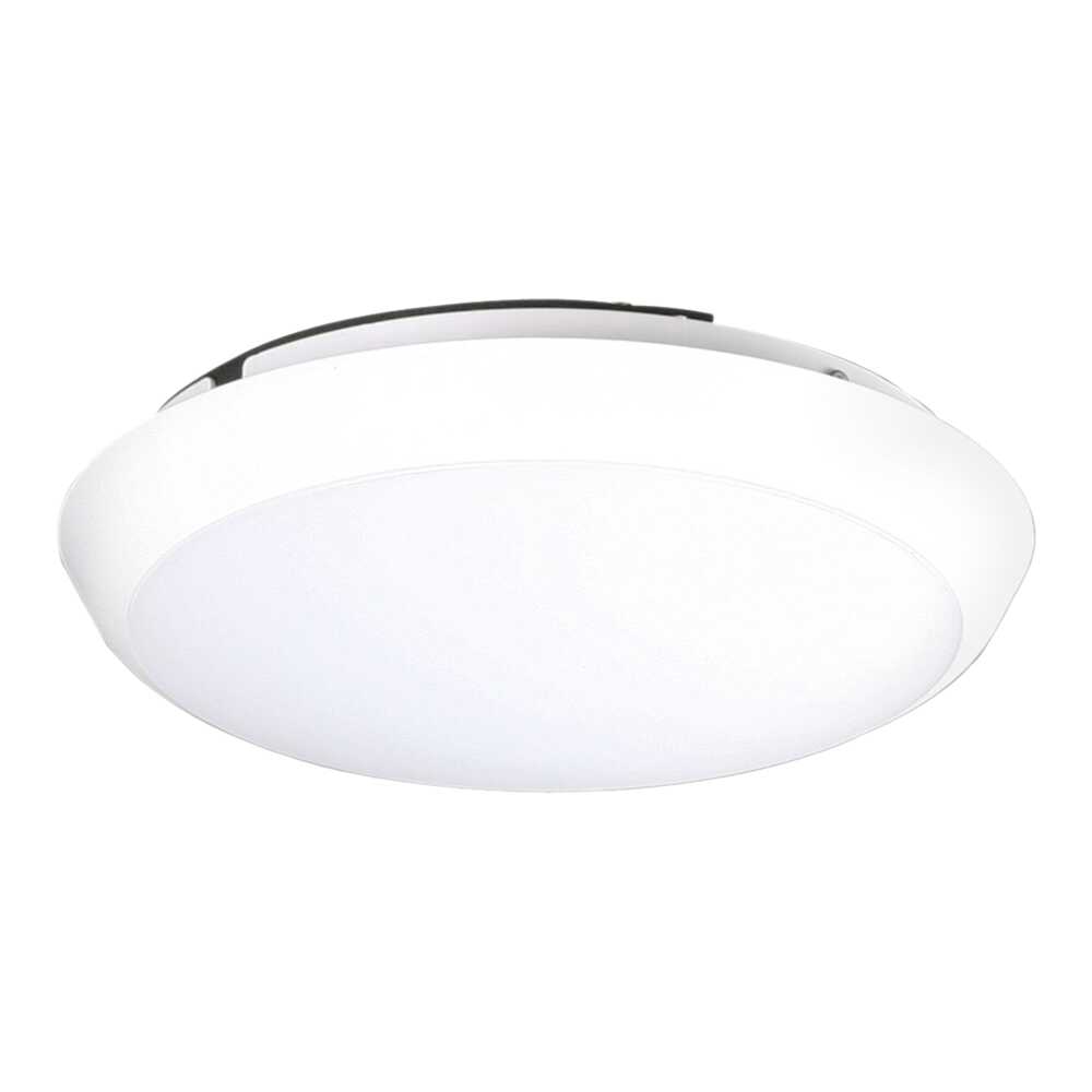 DISC - SAL