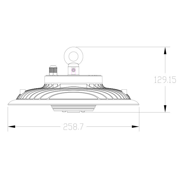 100W